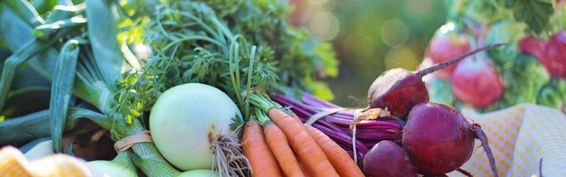 Antioxidantii: ce sunt de fapt si la ce ne ajuta ?